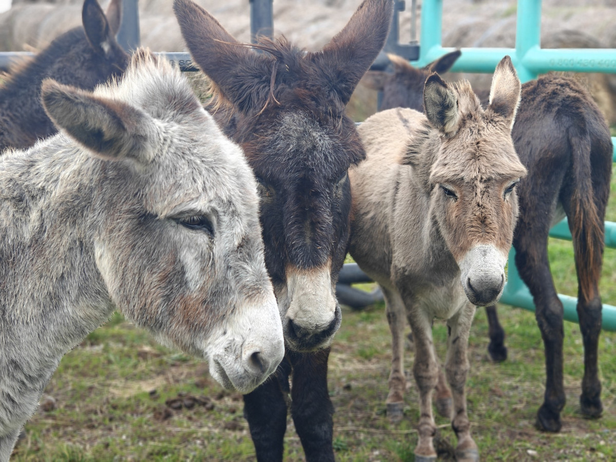 581889278 1155267010091108 7156397357839862432 n