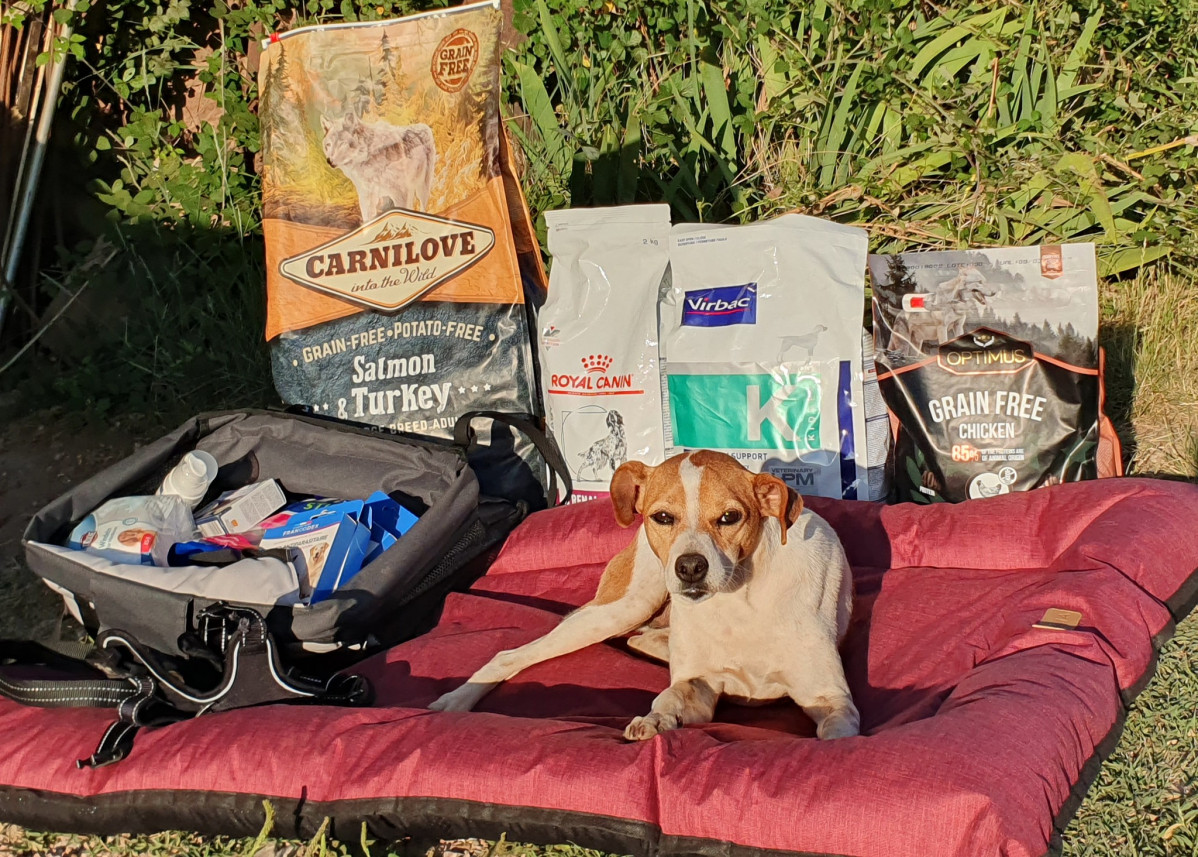 512946625 1042481944702949 3497067679105003284 n