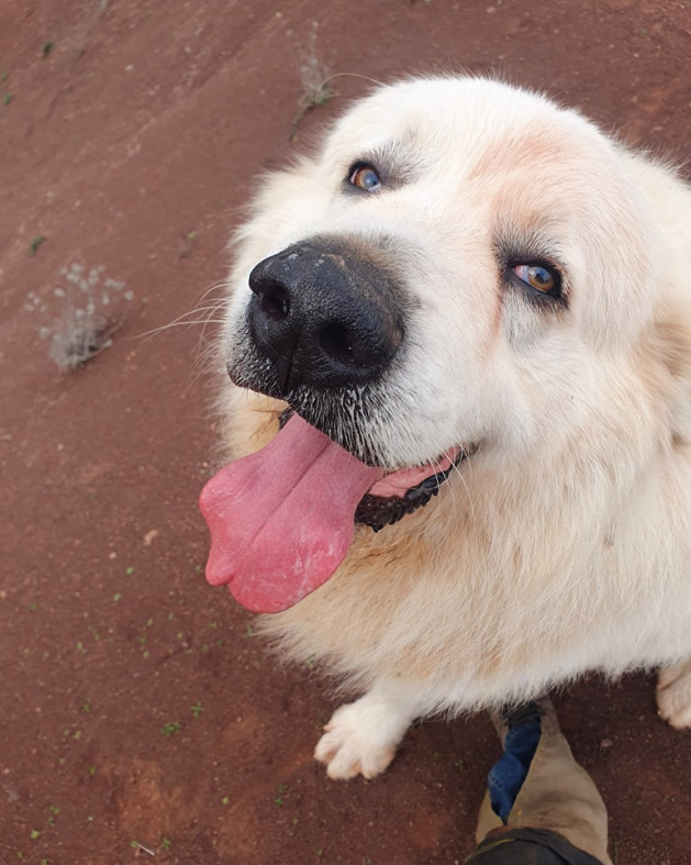 486568224 976806544603823 1051666691428577964 n