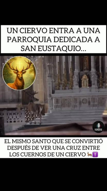 Images (5)